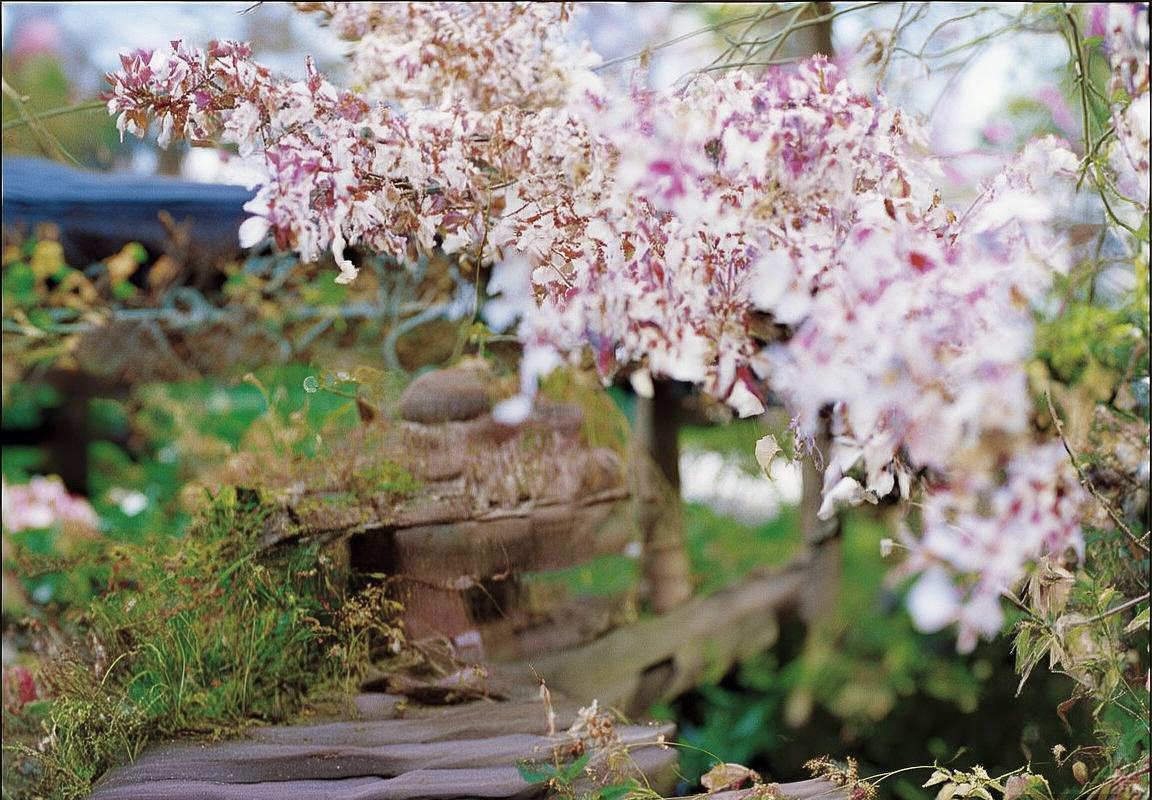 多特赵心童巅峰对决：解析乒乓球精神与竞技